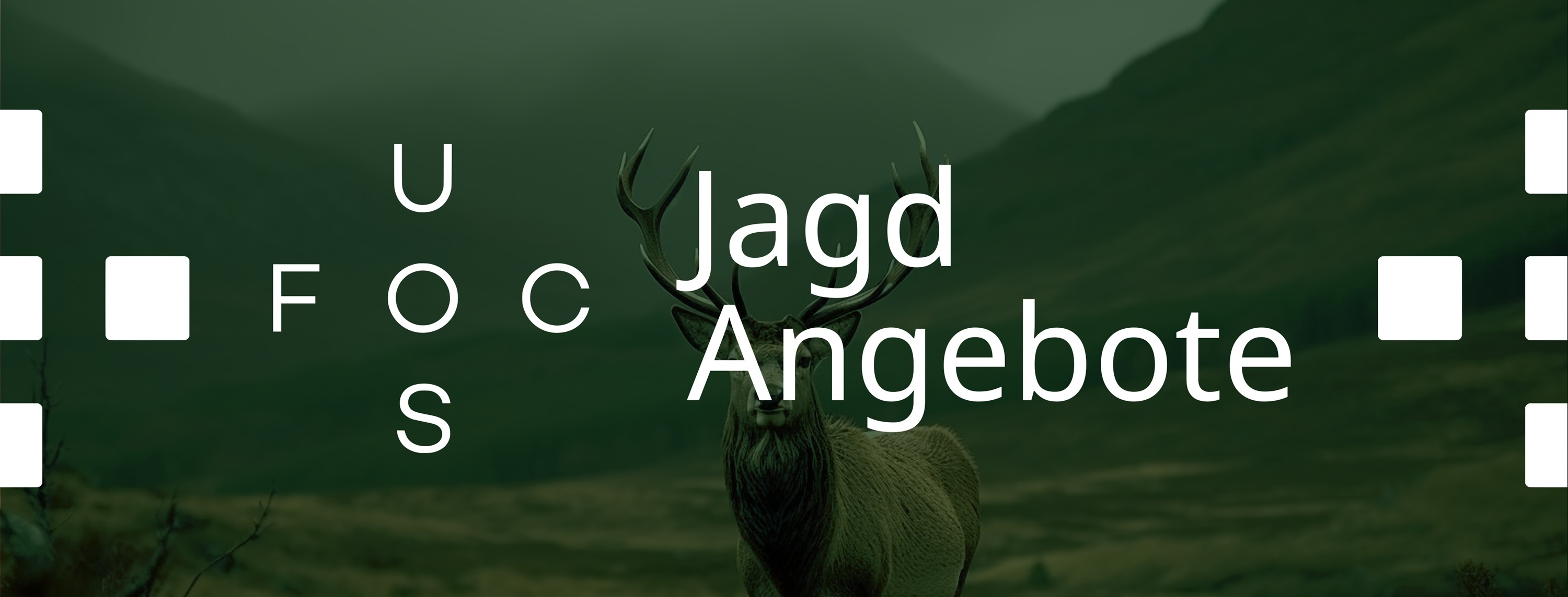 FOCUS Jagd Angebote